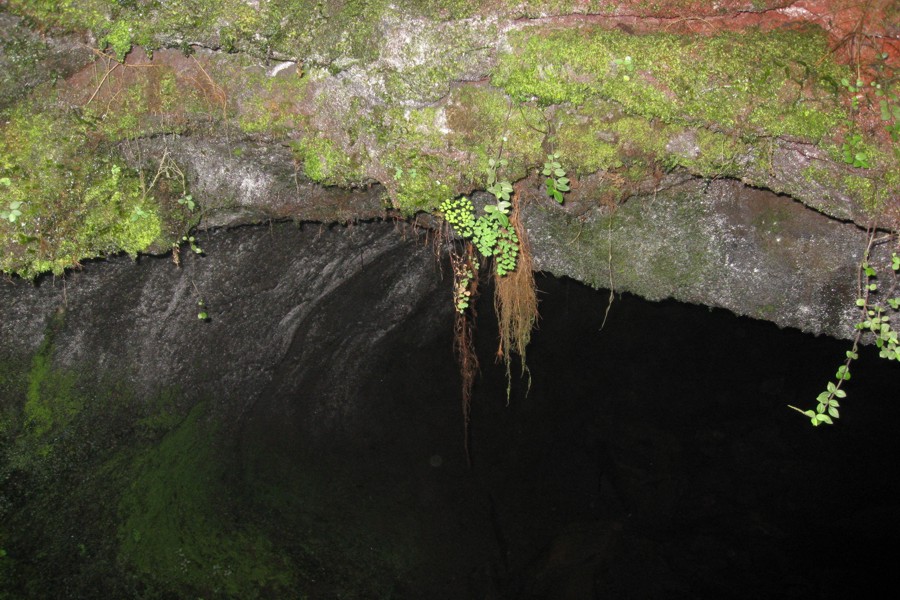 ../image/volcano - thurston lava tube 6.jpg